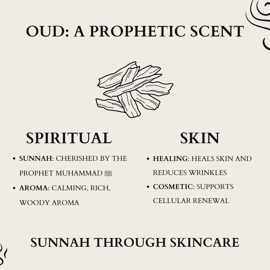 Halal Tallow Balm 3-Pack Bundle: Talal Face and Body Set
